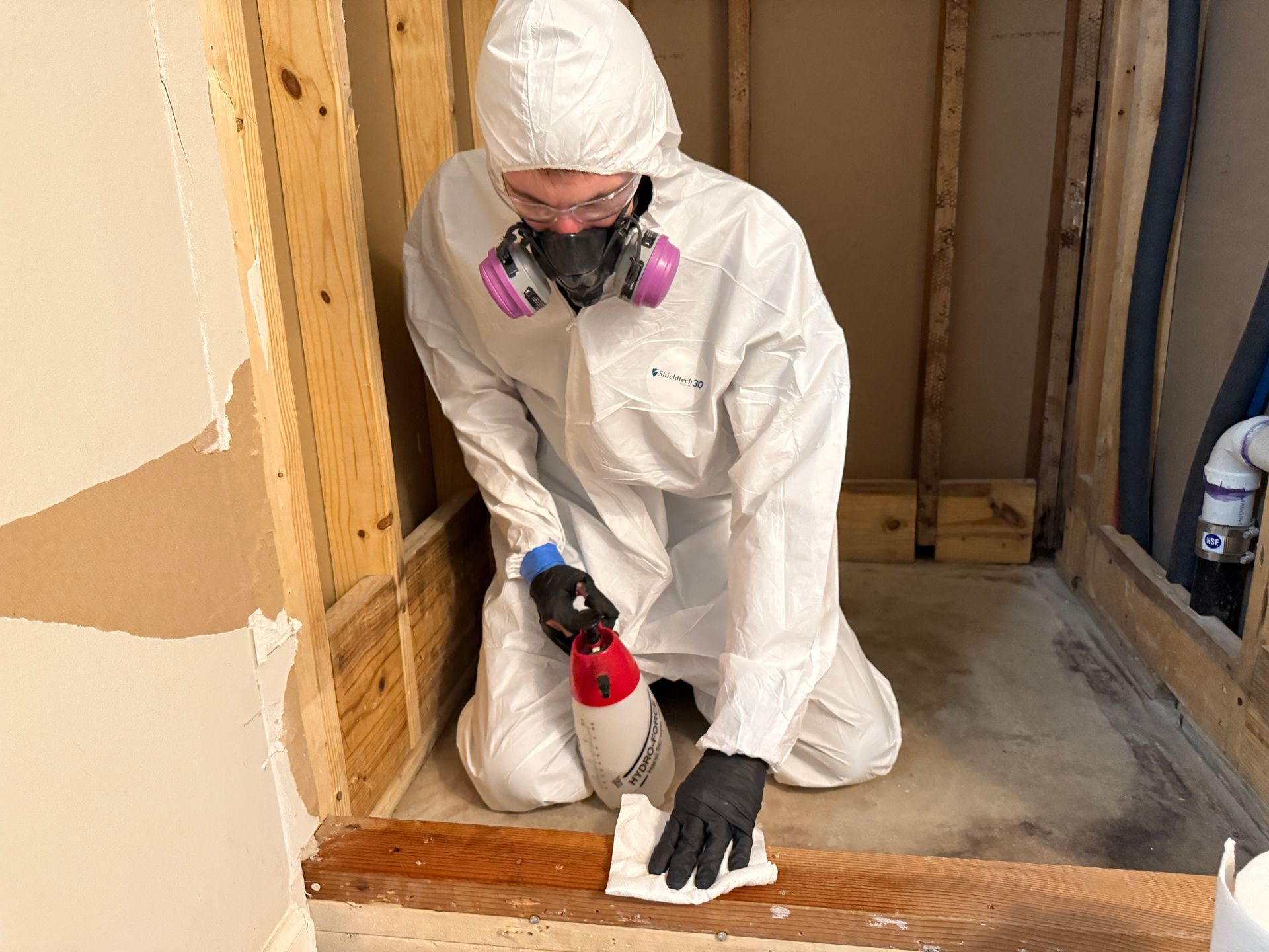 Mold remediation in a bathroom.