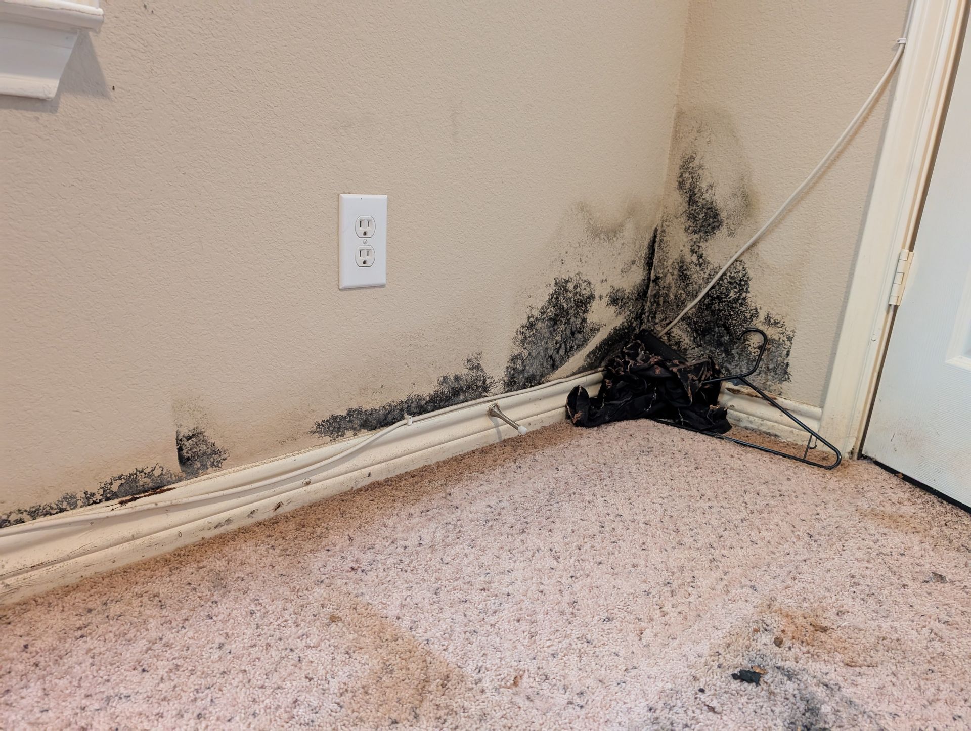 Dark black mold growth along the baseboard and corner of a beige room wall near a power outlet and doorway.