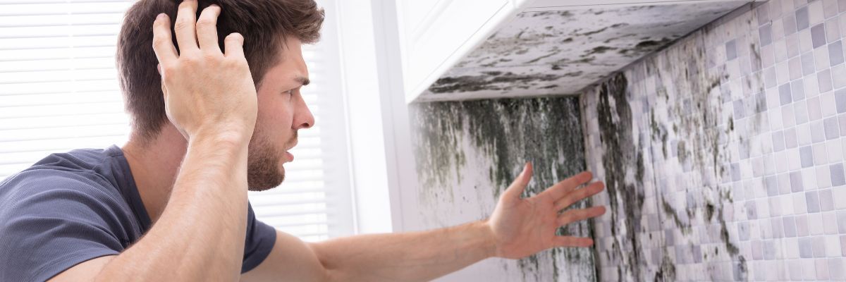 Man looks at a wall covered in mold with a concerned expression, hands touching his head.