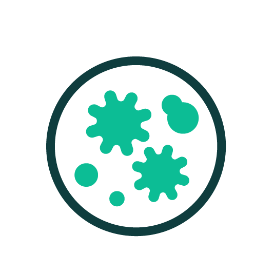 Mold icon