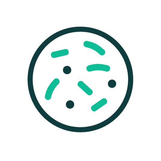 A line drawing of bacteria in a circle on a white background.