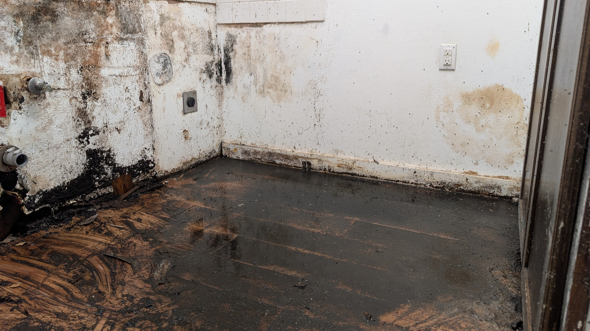 Water-damaged room with extensive black mold on walls and warped, water-soaked flooring