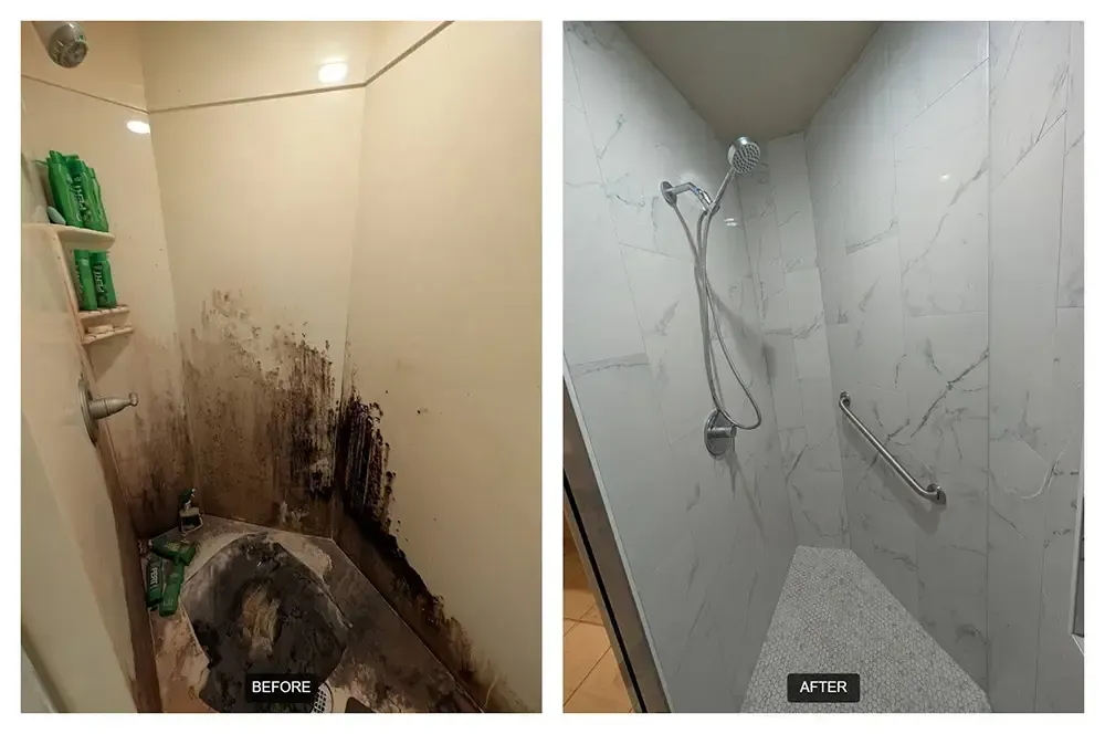 before and after biohazard restoration