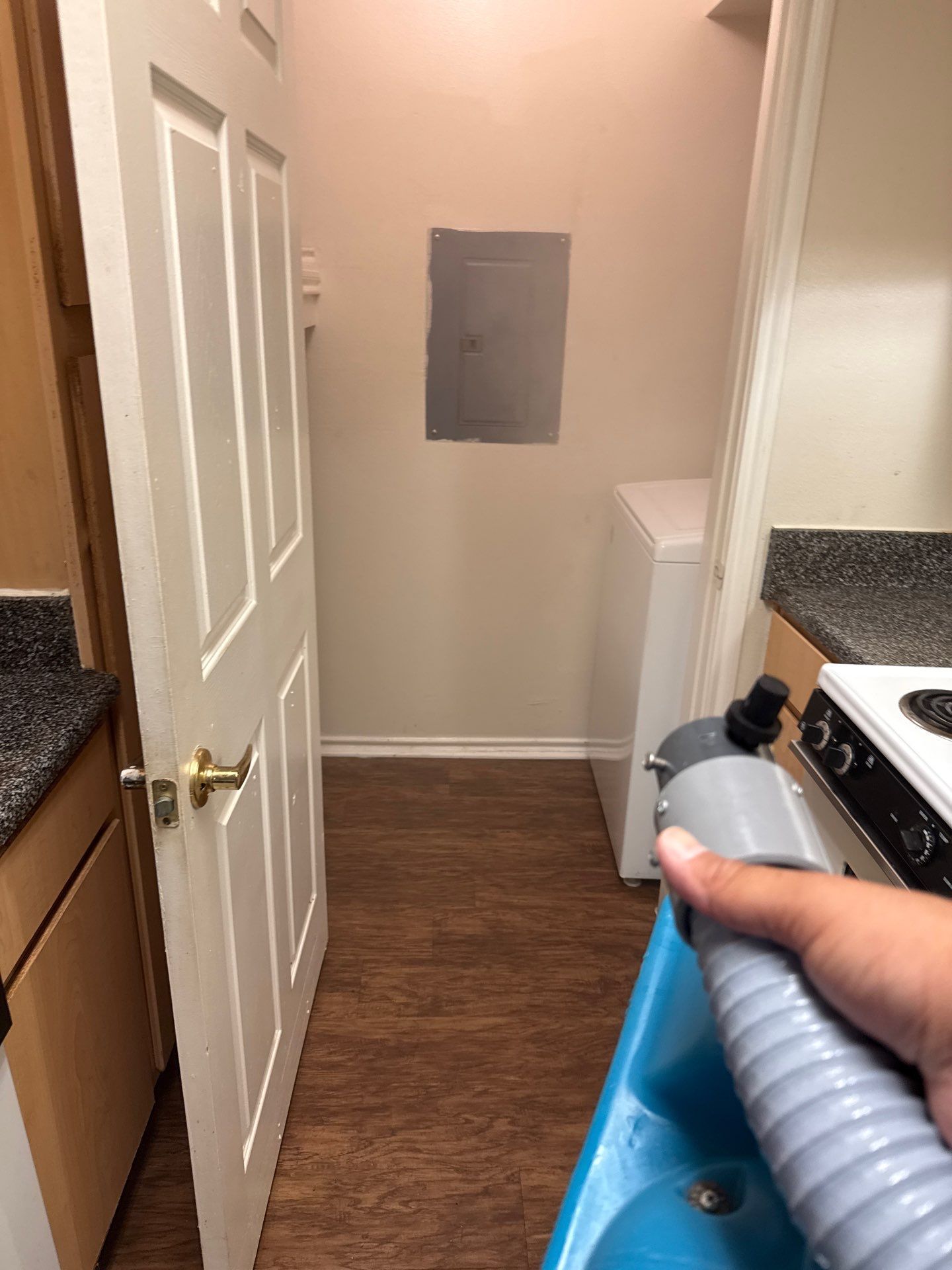 Technician spraying disinfectant in an apartment kitchen