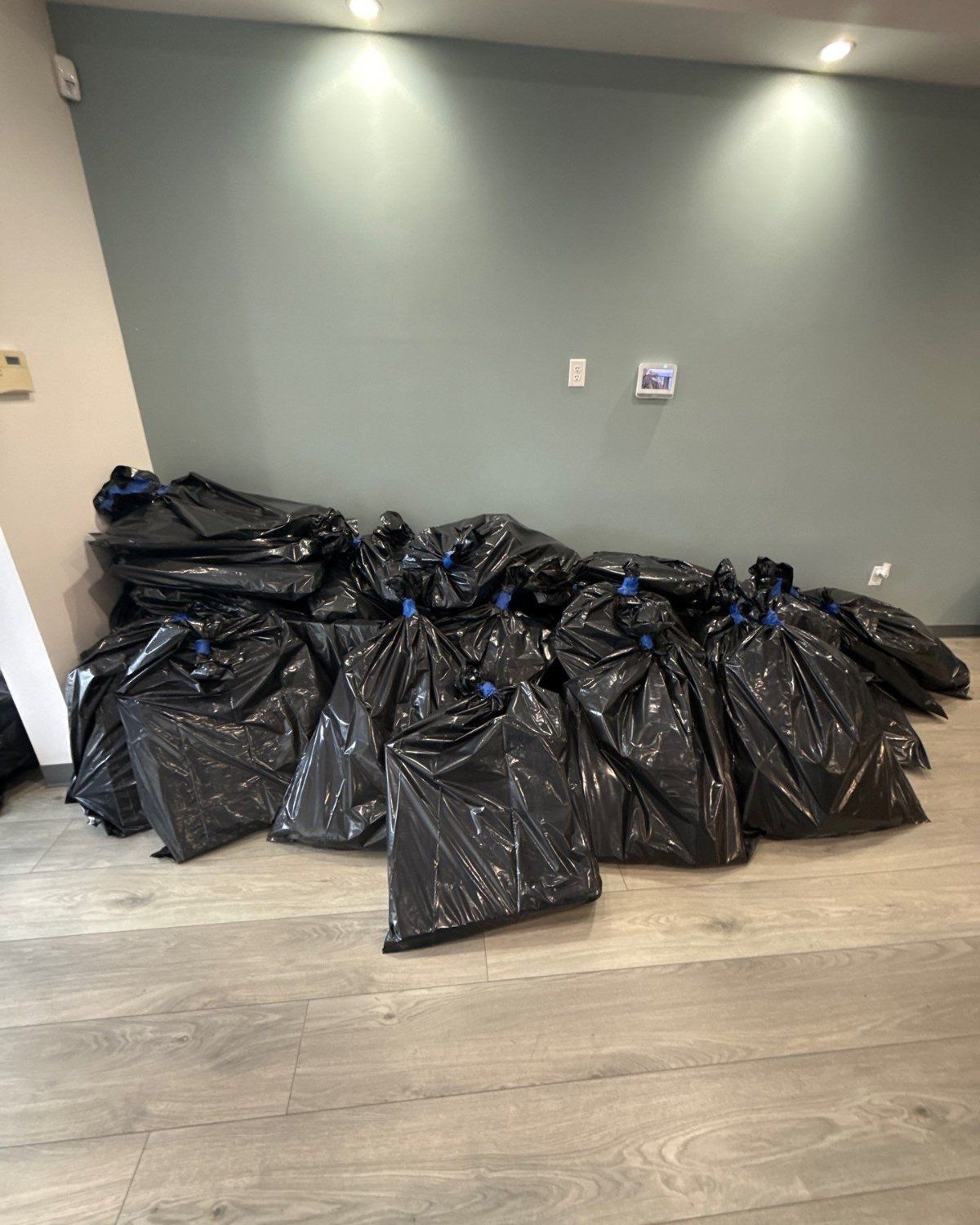 Sealed black bags of removed mold-damaged materials stacked in a room
