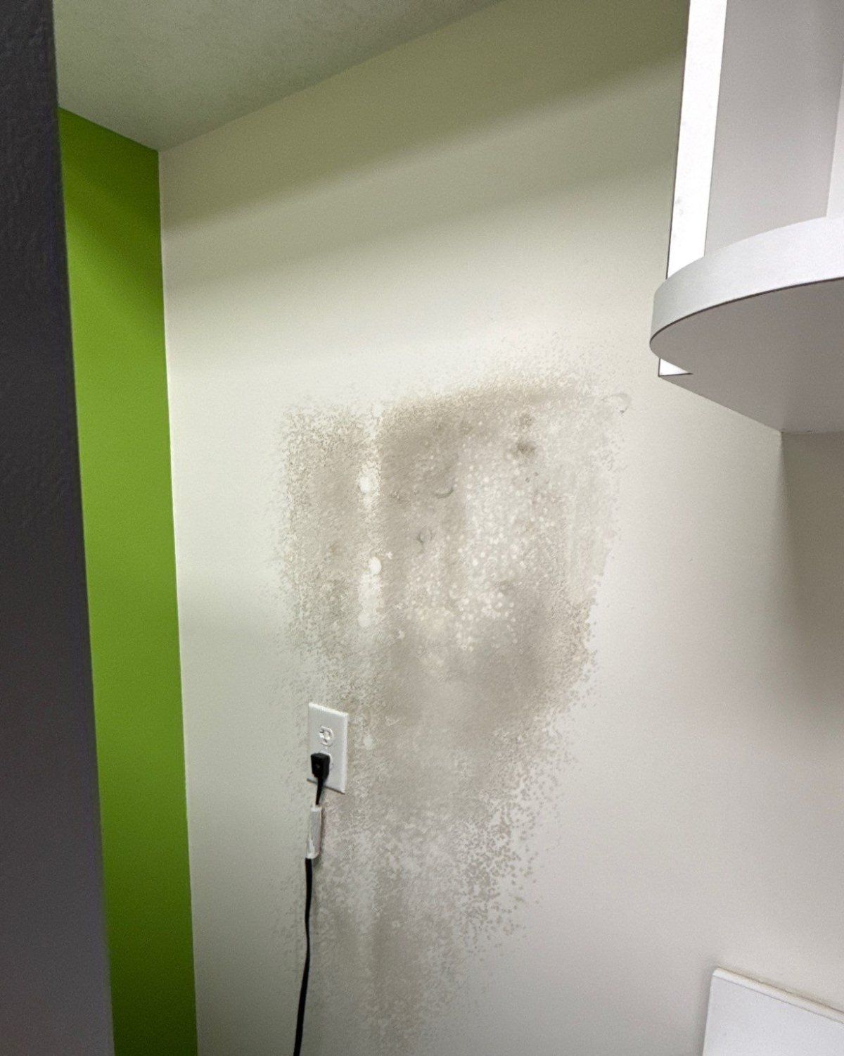 Mold growth spreading across a white wall behind a refrigerator in a Plano office