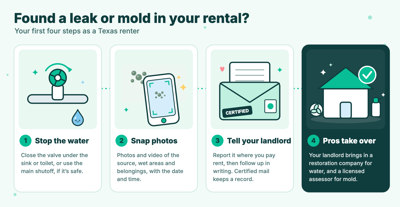 Four steps for Texas renters who find a leak or mold: stop the water, document it, tell your landlord in writing, and the owner brings in the pros