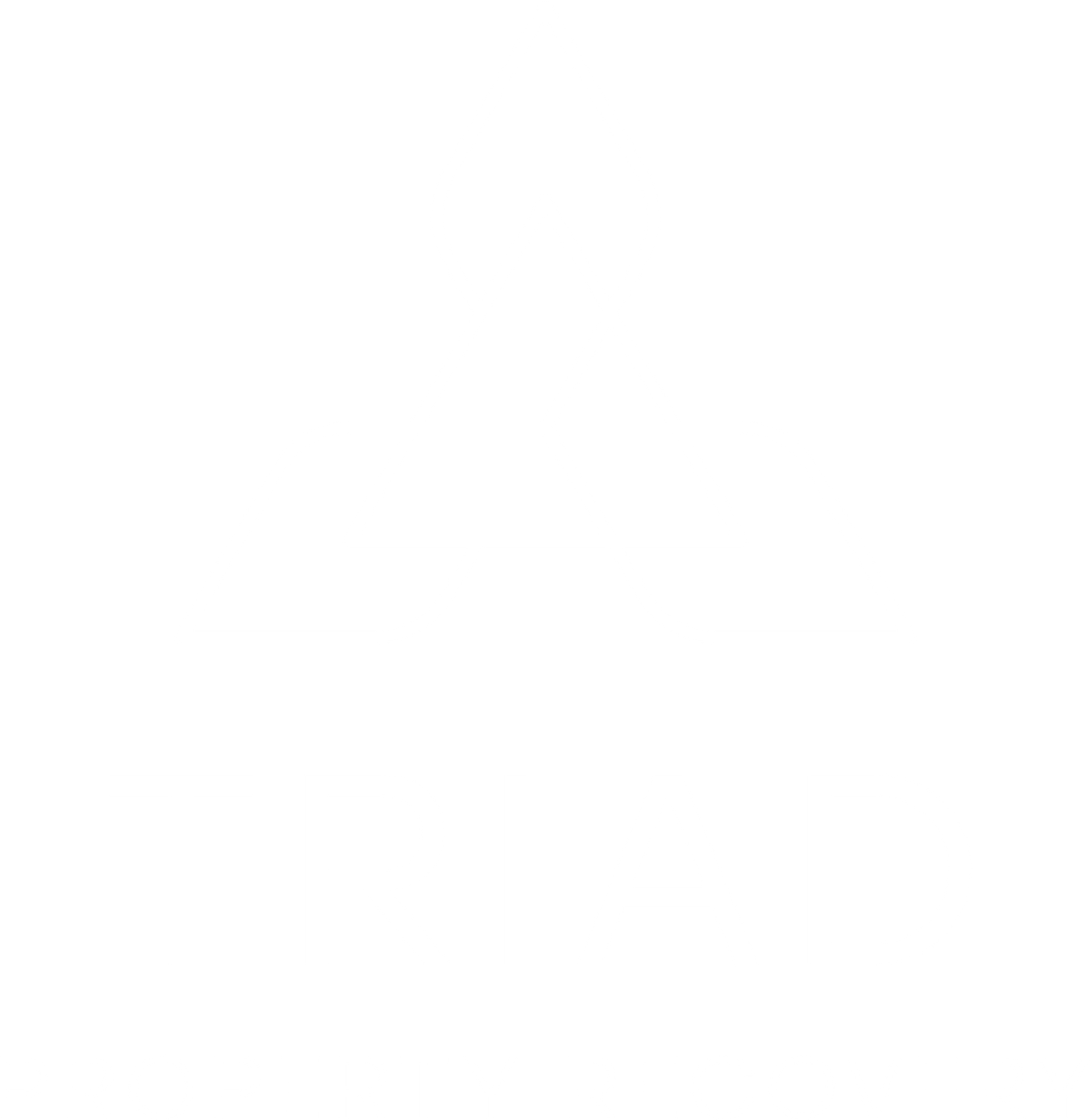 Triad Property Recovery white logo