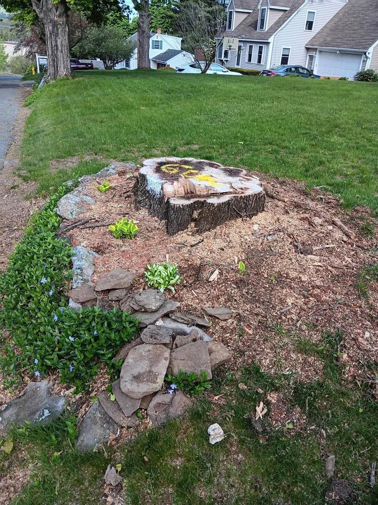 Tree stump in a front yard with mulch, small plants, and stacked stones beside a sidewalk
