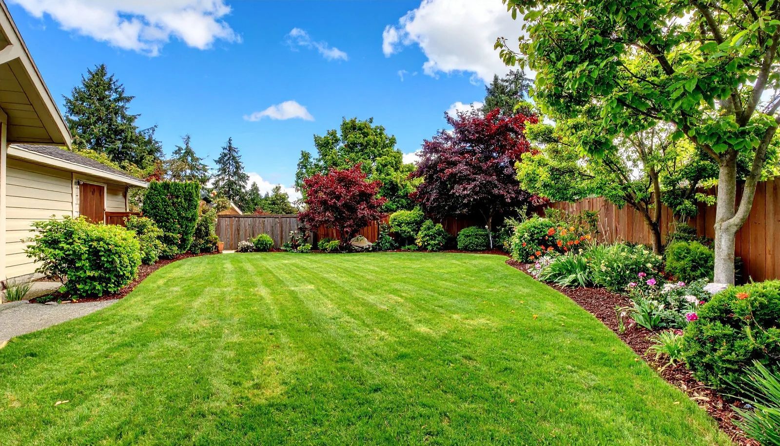 Lush backyard lawn with colorful shrubs, trees, a wooden fence, and a blue sky