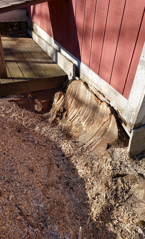 Big Beaver Stump Grinding Top Rated Stump Grinder & Landscaper