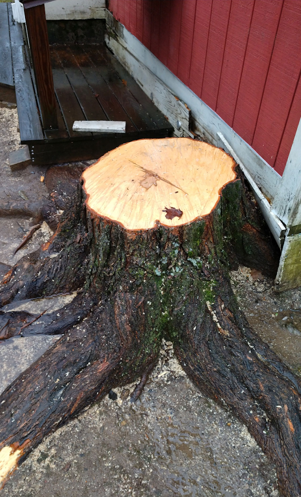 Big Beaver Stump Grinding Top Rated Stump Grinder & Landscaper