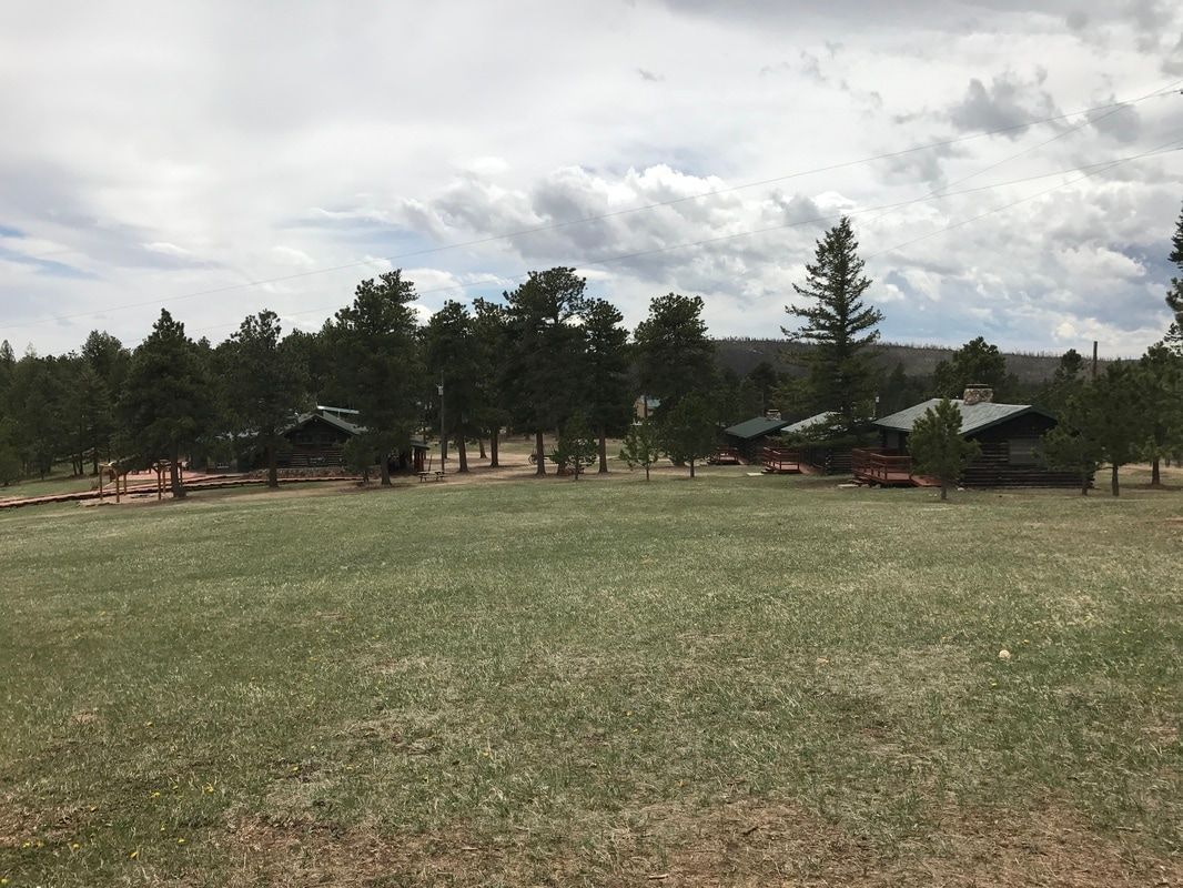 View of several cabins and Buckhorn Lodge from field.