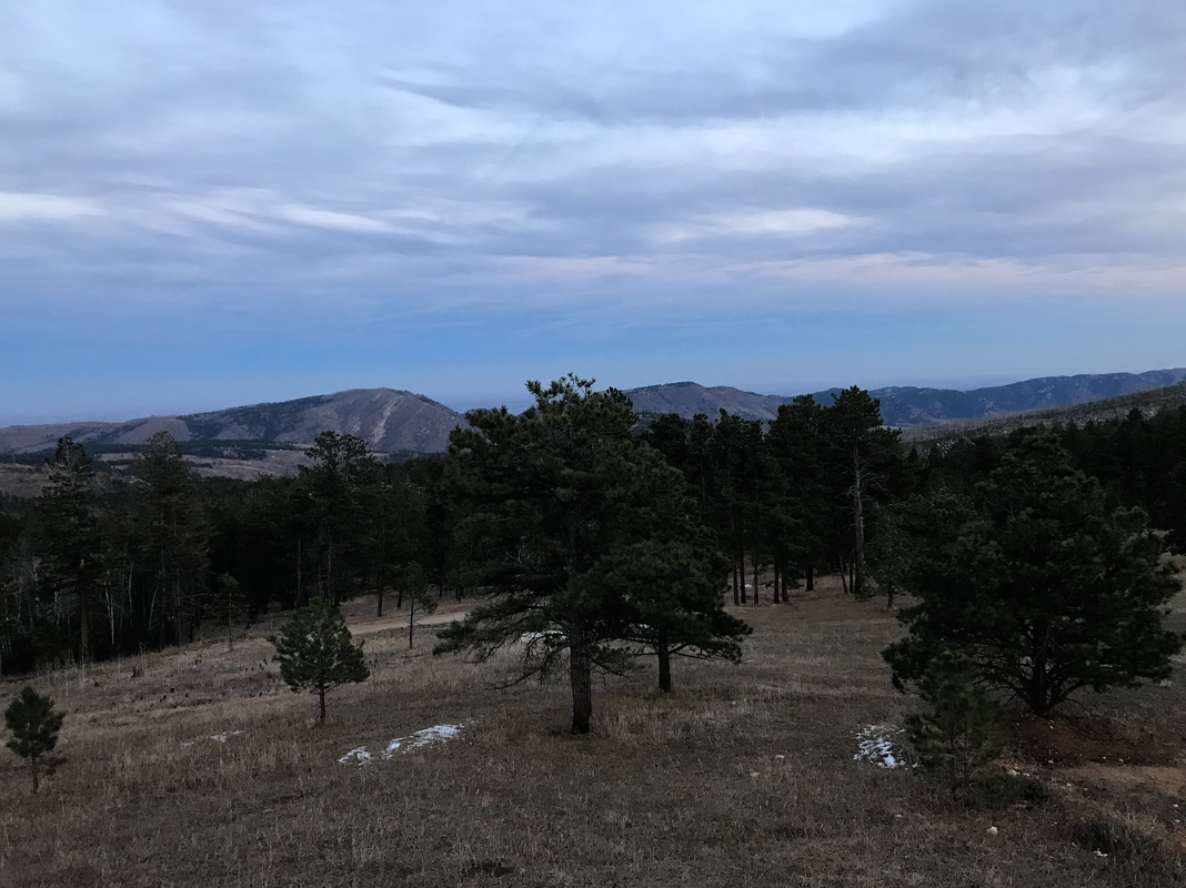 View of trees and mountains from Retreat Lodge.