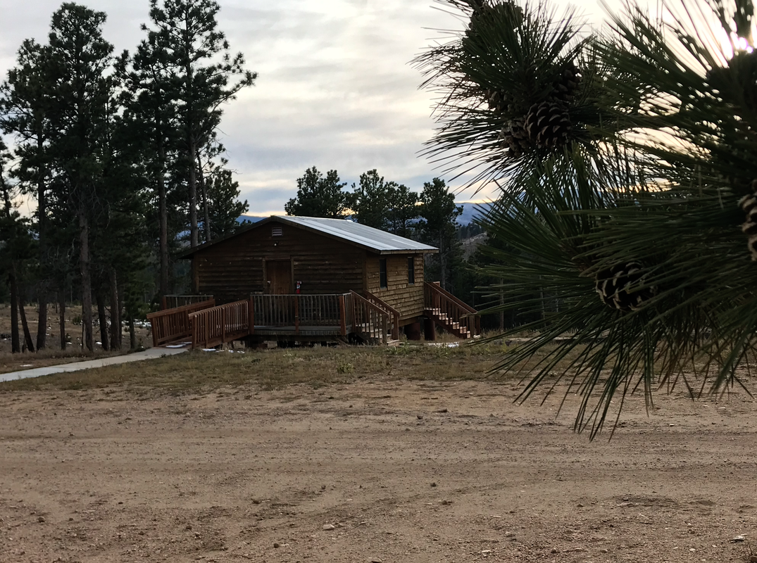 View of Miner's Cabin through pine trees.