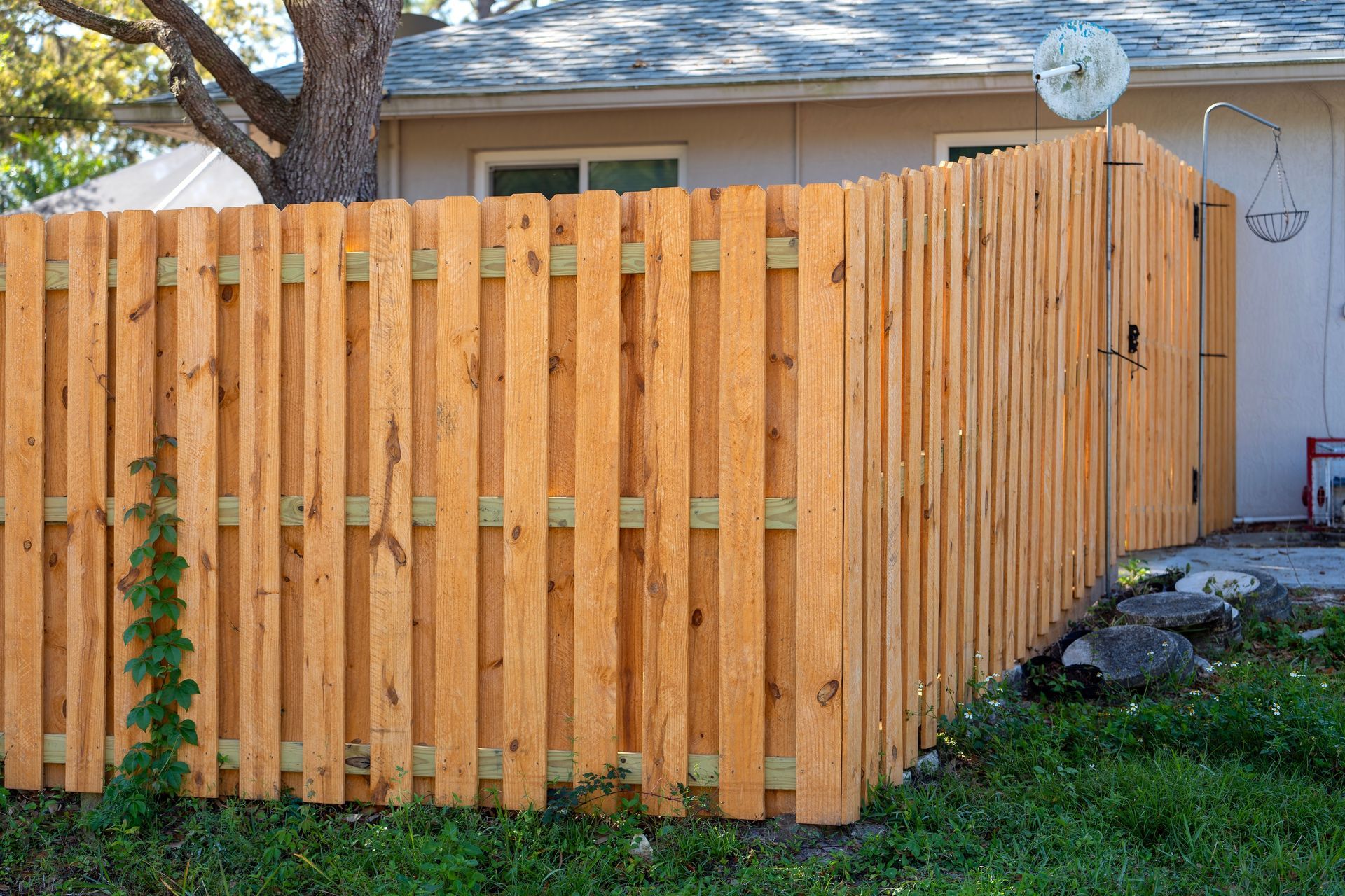 Wooden fence surrounding a backyard with a gate
