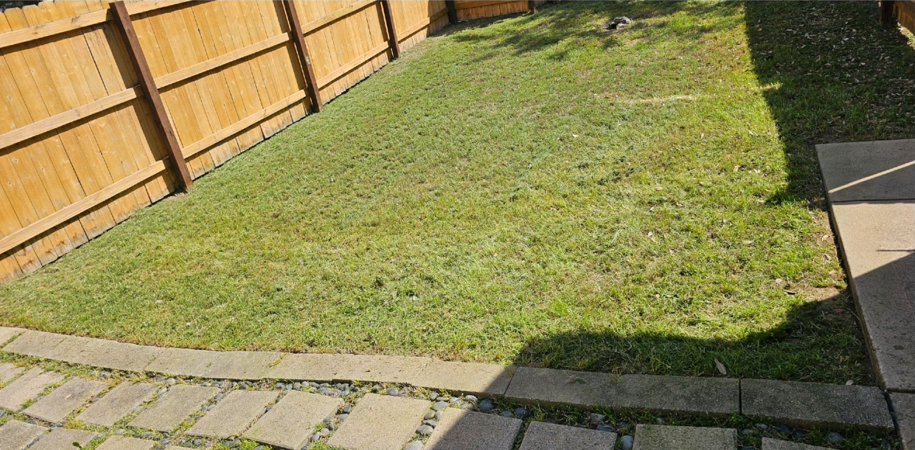Sloped grassy backyard bordered by a wooden fence and stone pavers.