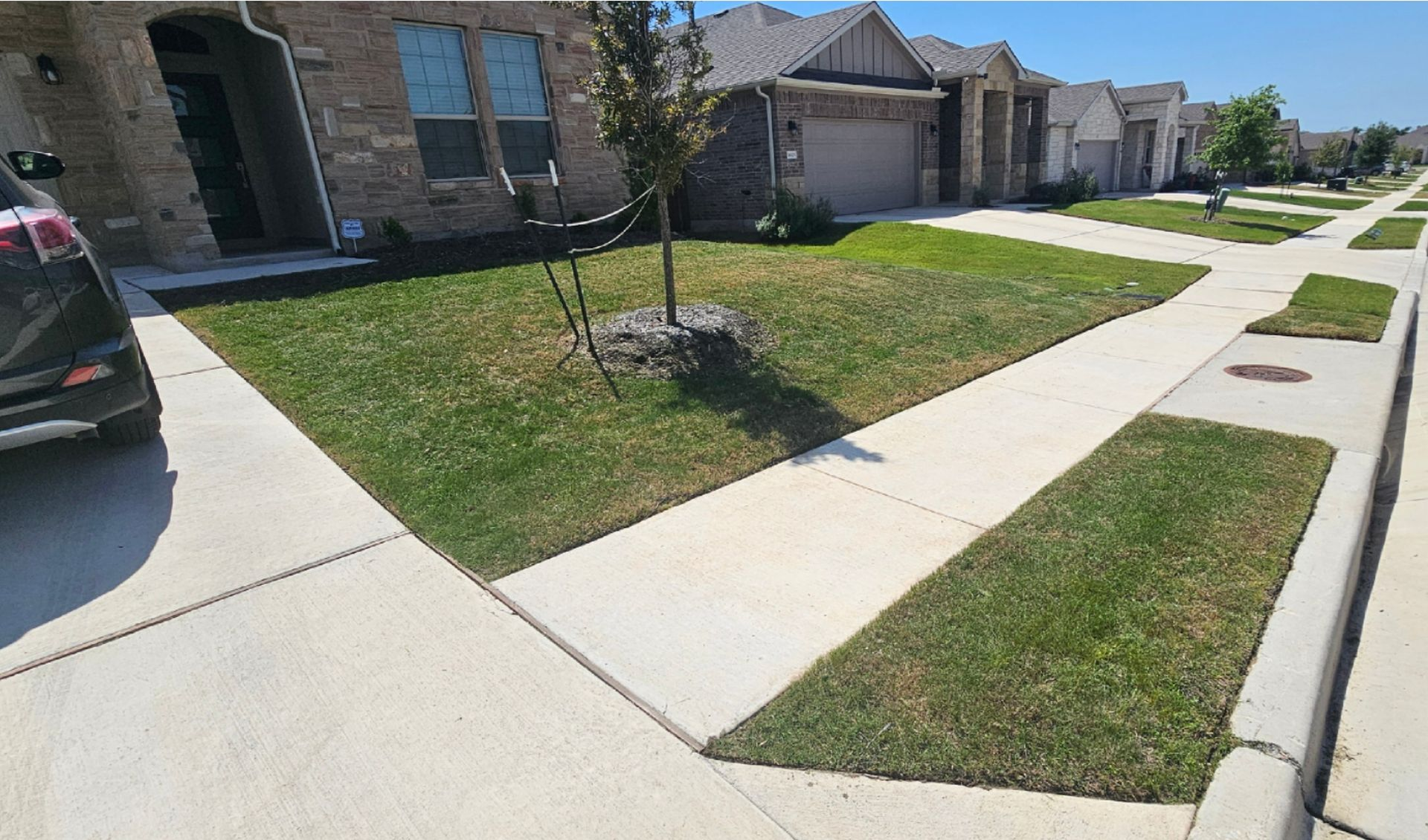 Suburban sidewalk beside manicured lawns and brick houses on a sunny day