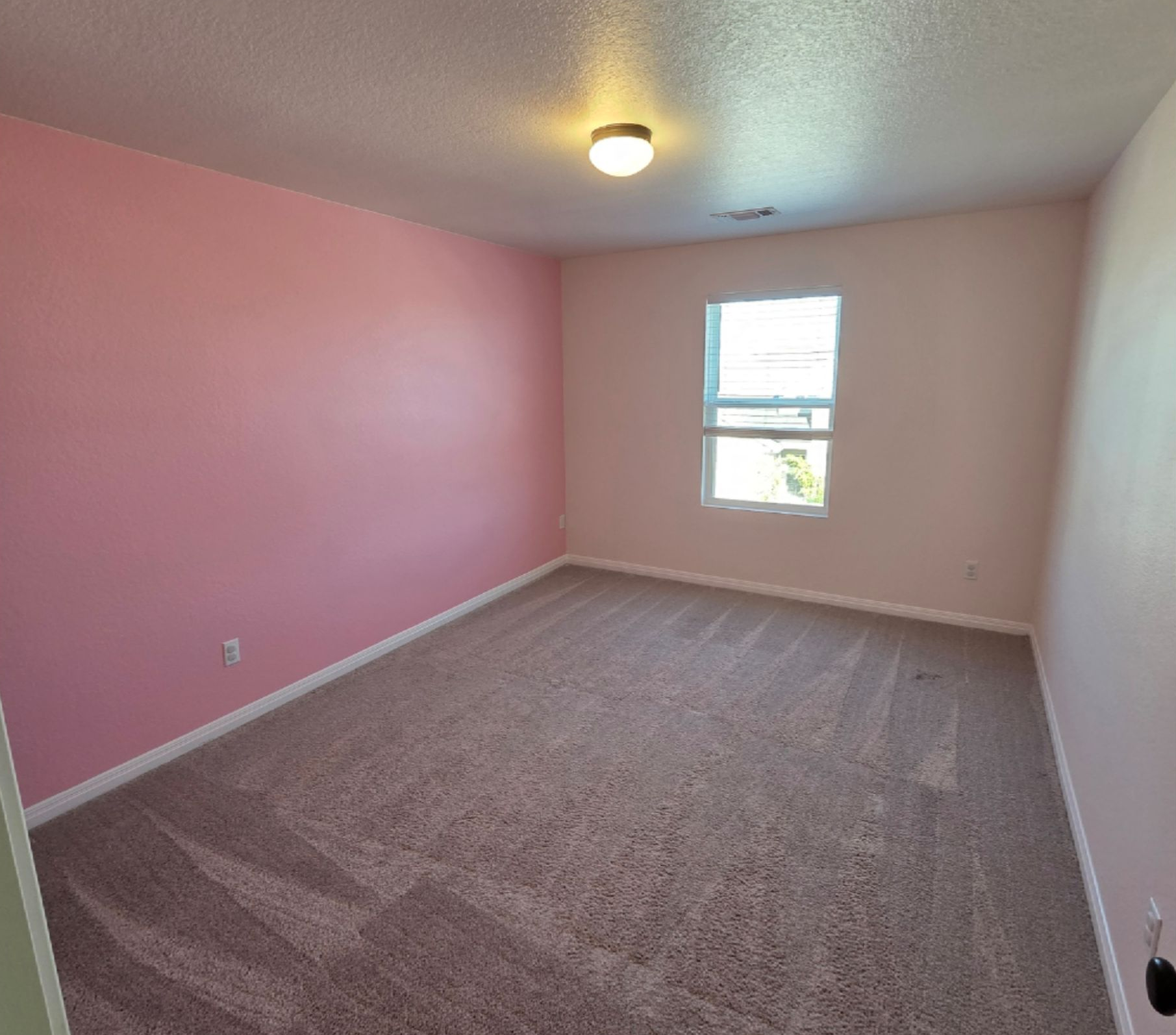 Empty pink bedroom with beige carpet and a single window.