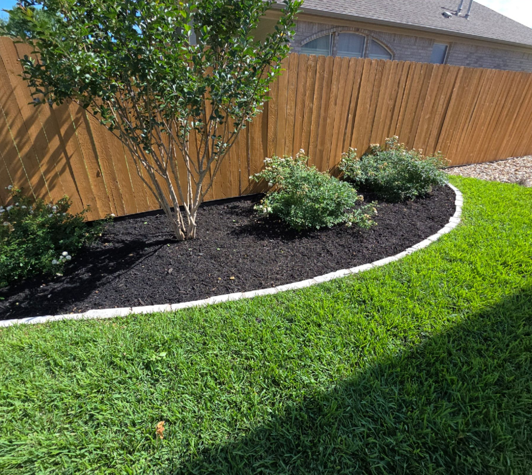 Backyard with green lawn, mulched flower bed, shrubs, and a tree beside a wooden fence