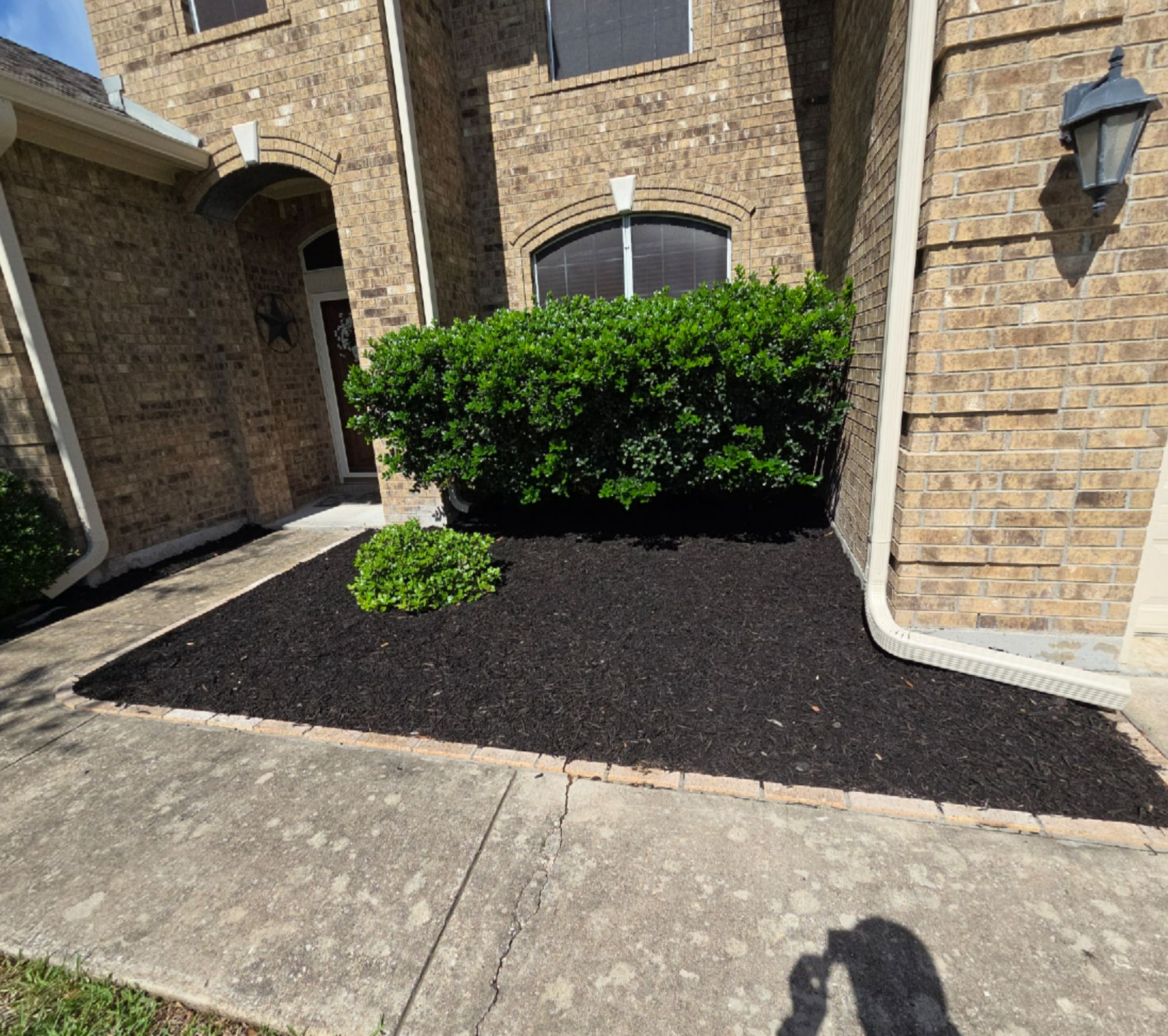 Front walkway beside brick house with black mulch beds and green shrubs in bright sunlight