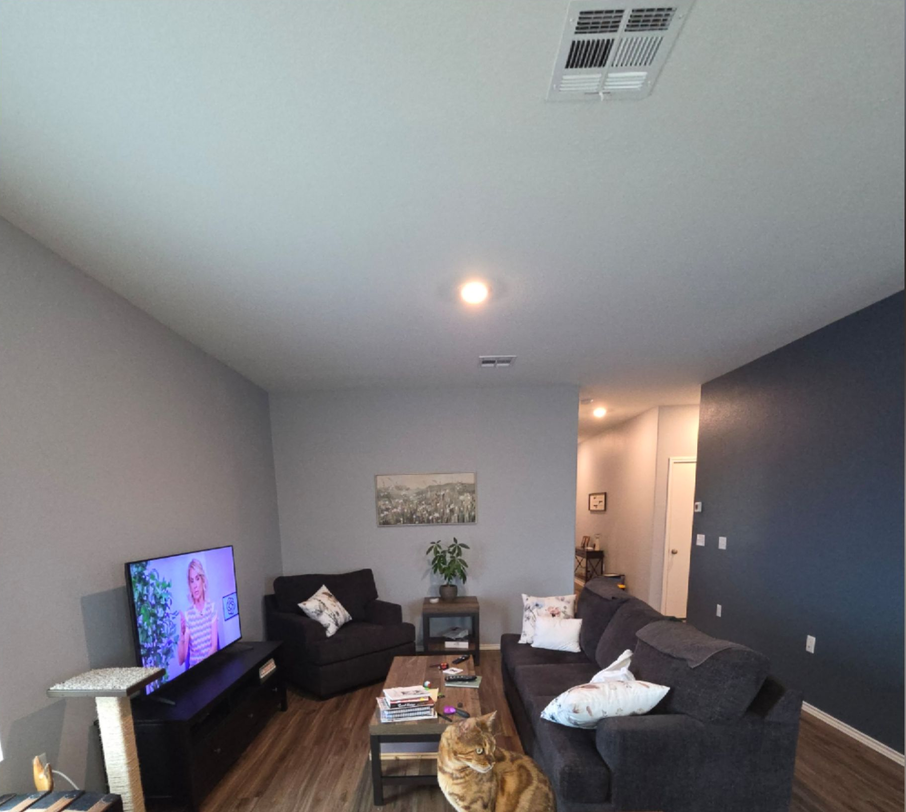 Living room with dark sofas, TV, coffee table, and hallway light in a modern home