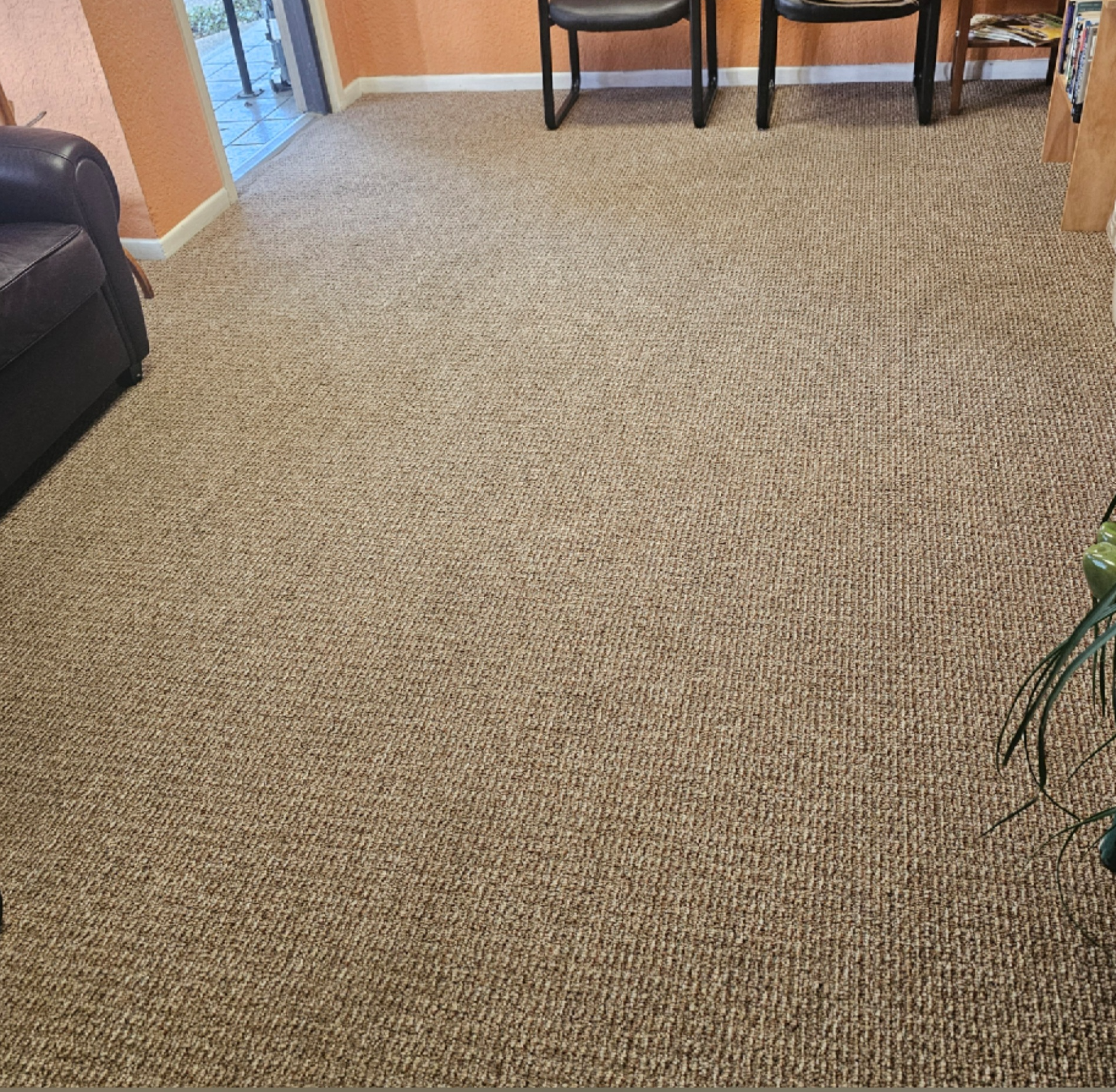 Carpeted room with chairs near the far wall and a sofa on the left.