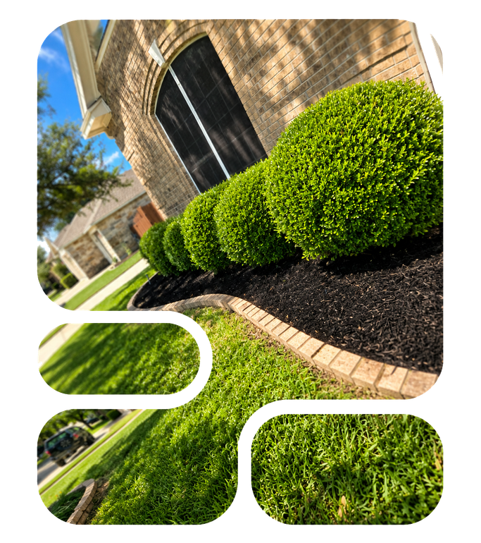 Landscaped front yard with trimmed green shrubs beside a brick house and arched doorway