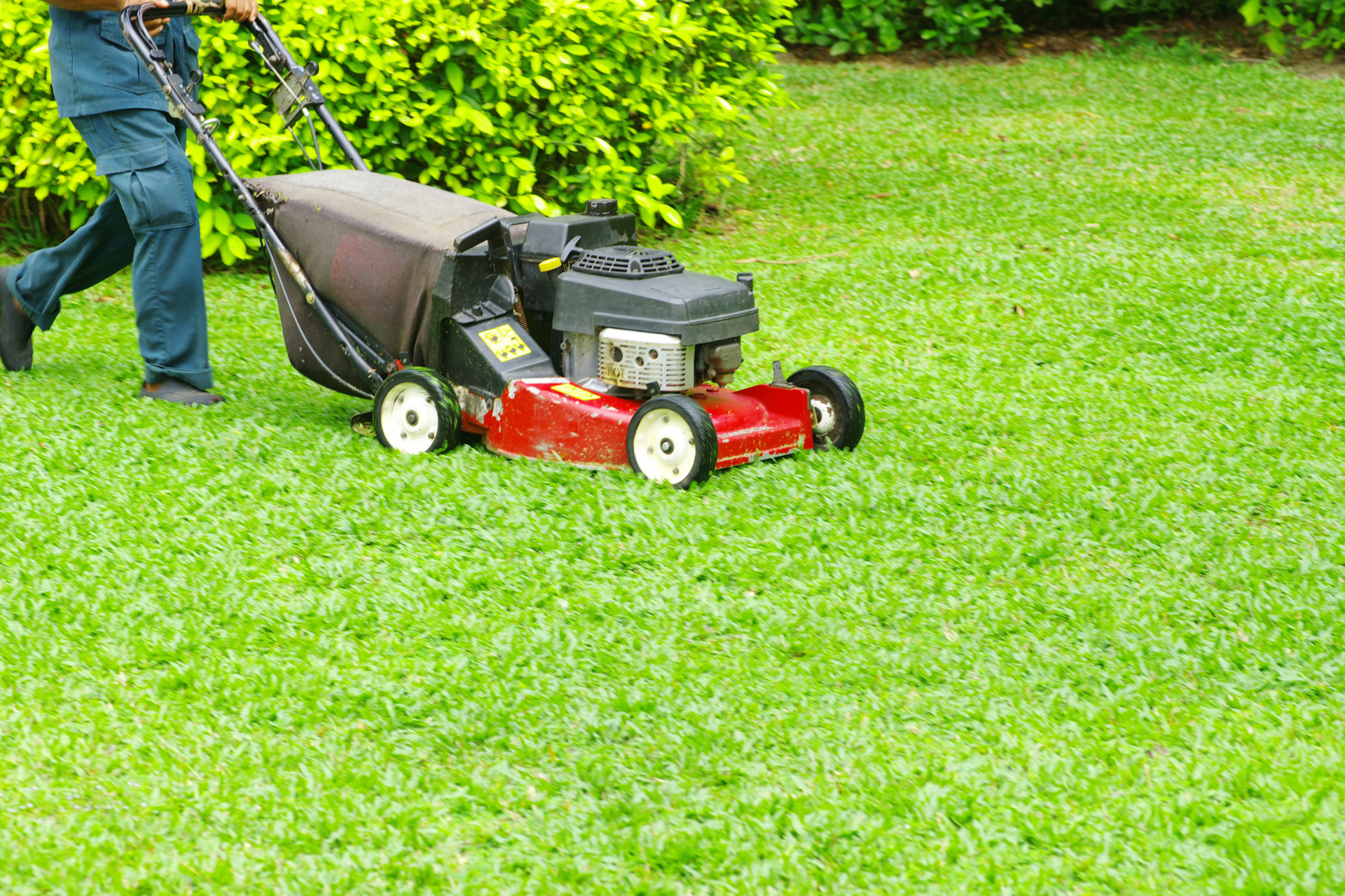 Person pushing a red lawn mower across a green grassy yard