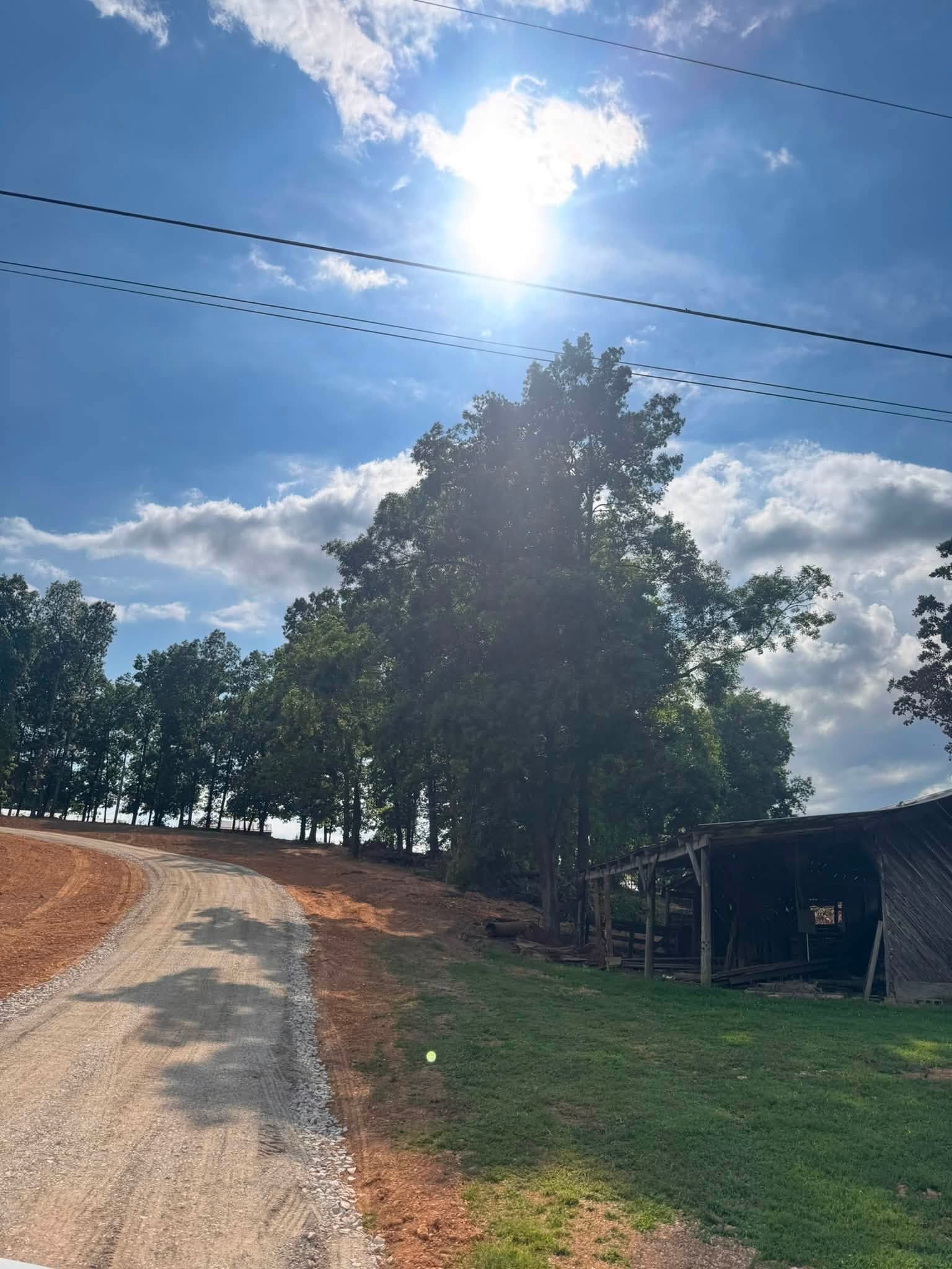 Sunny rural gravel road curving past trees and a small shed under a bright blue sky