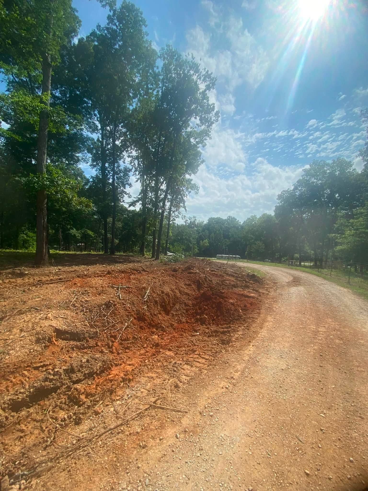 Sunny dirt road curving through a wooded area under a bright blue sky