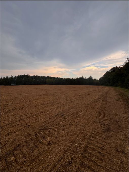 Plowed field under a cloudy sky at dusk, bordered by trees on both sides.