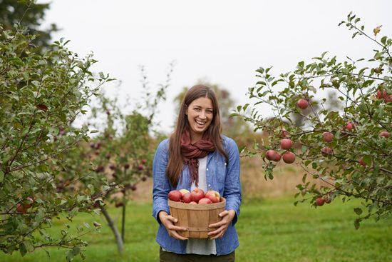 Produttori di mele in provincia di Arezzo