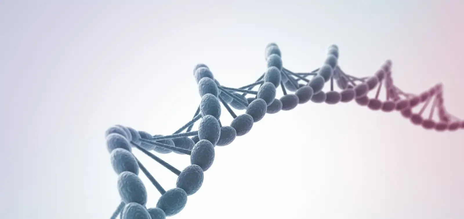 A close up of a dna strand on a white background.