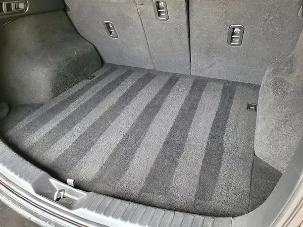 After Trunk Cleaning