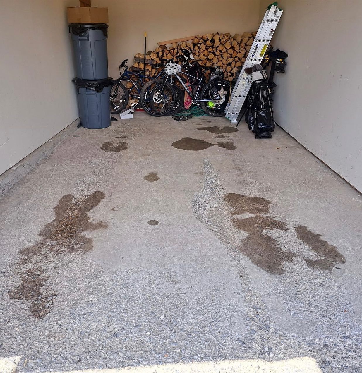 Garage floor with dark stains, stacked firewood, bicycles, and a white ladder against the back wall.