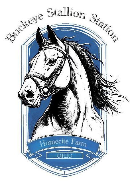 Buckeye Stallion Station, horse breeder. Youngstown, Hubbard, Boardman, Liberty, OH
