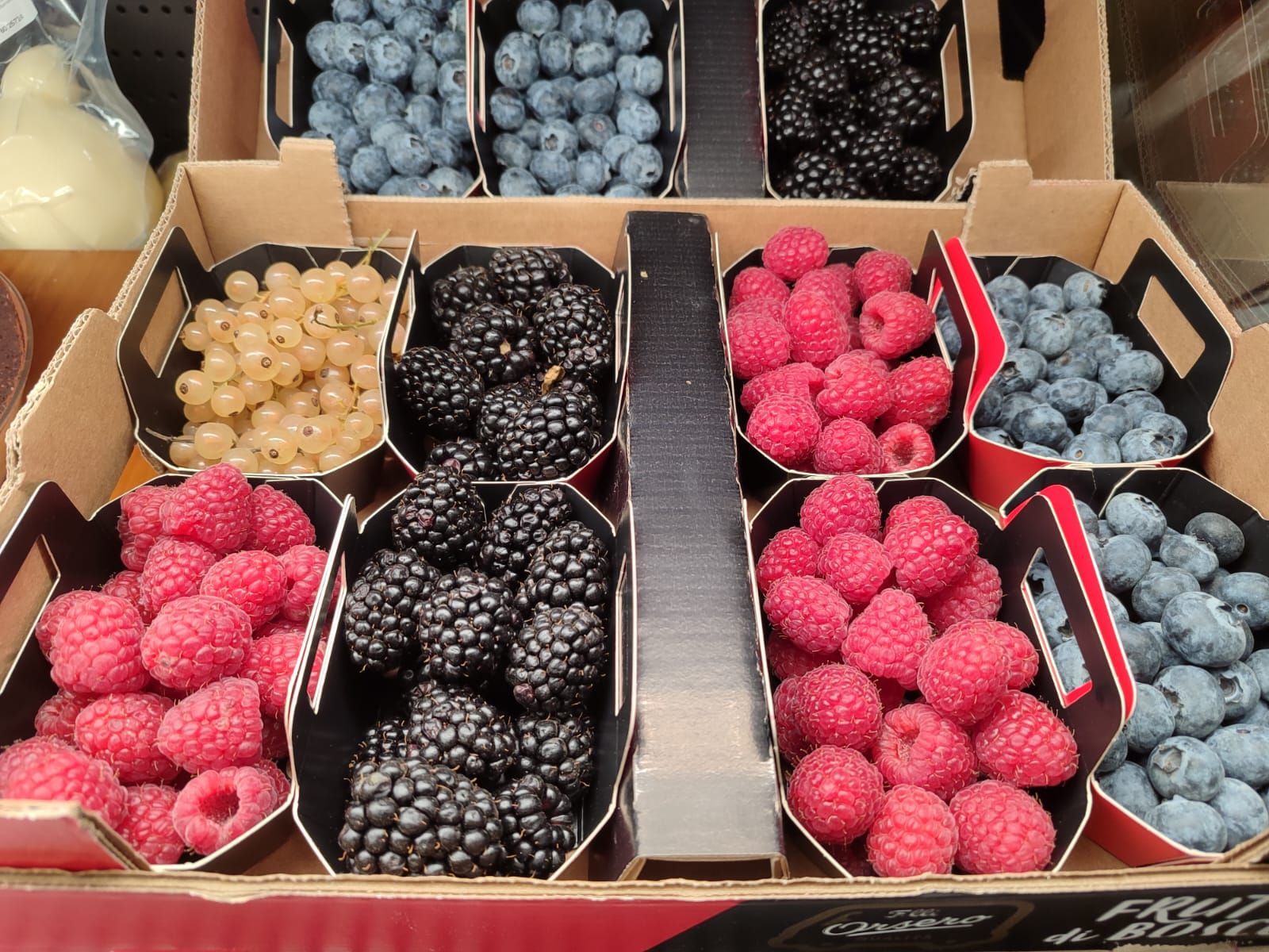 Esposizione di frutti di bosco: lamponi, more, mirtilli e ribes bianchi in contenitori di cartone.