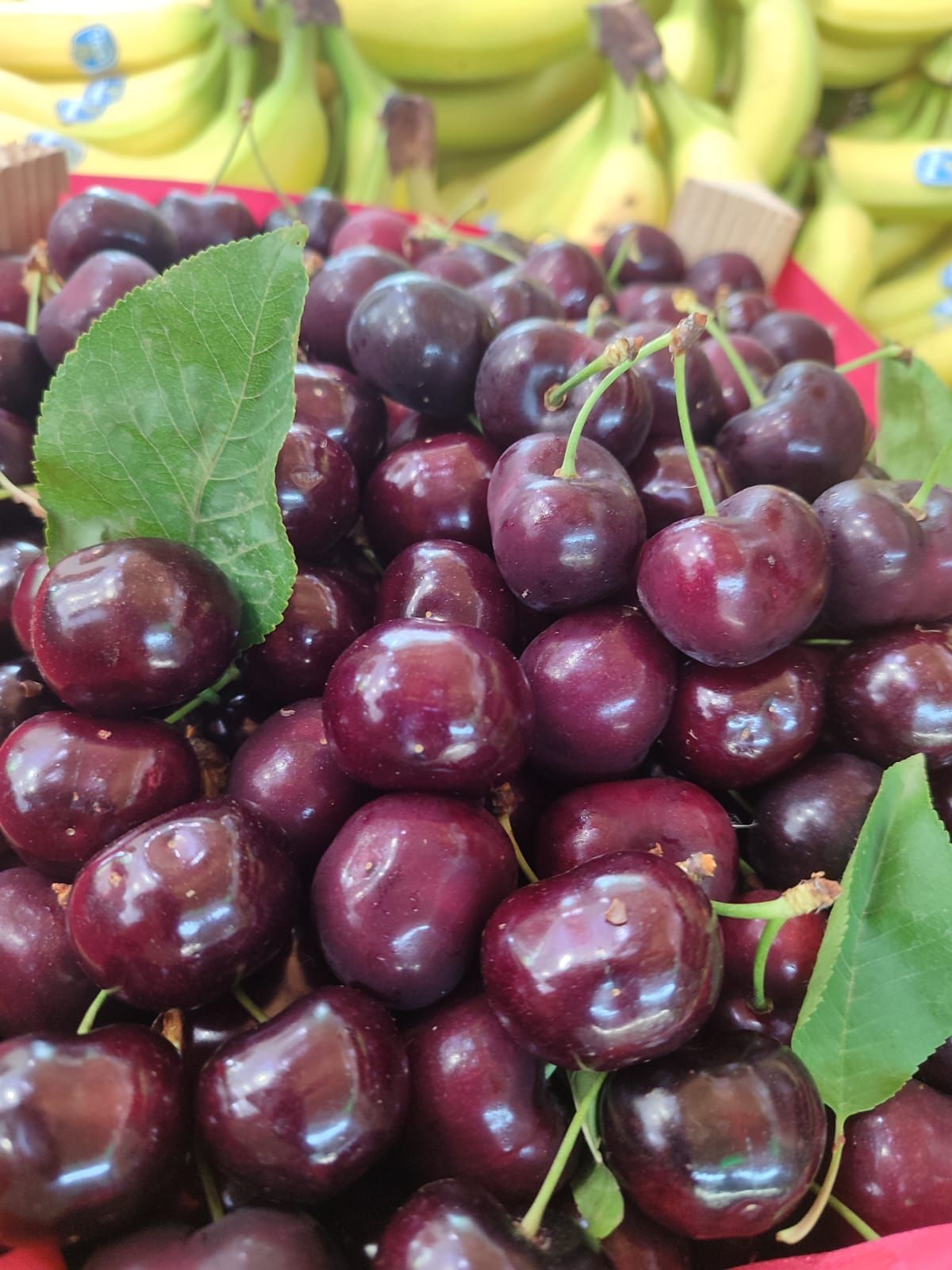 Mucchio di ciliegie mature, rosso scuro, con foglie verdi e banane sullo sfondo.
