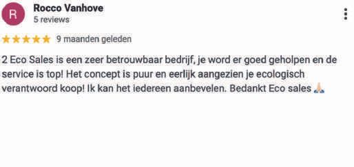 Google Review 2ECOsales 02
