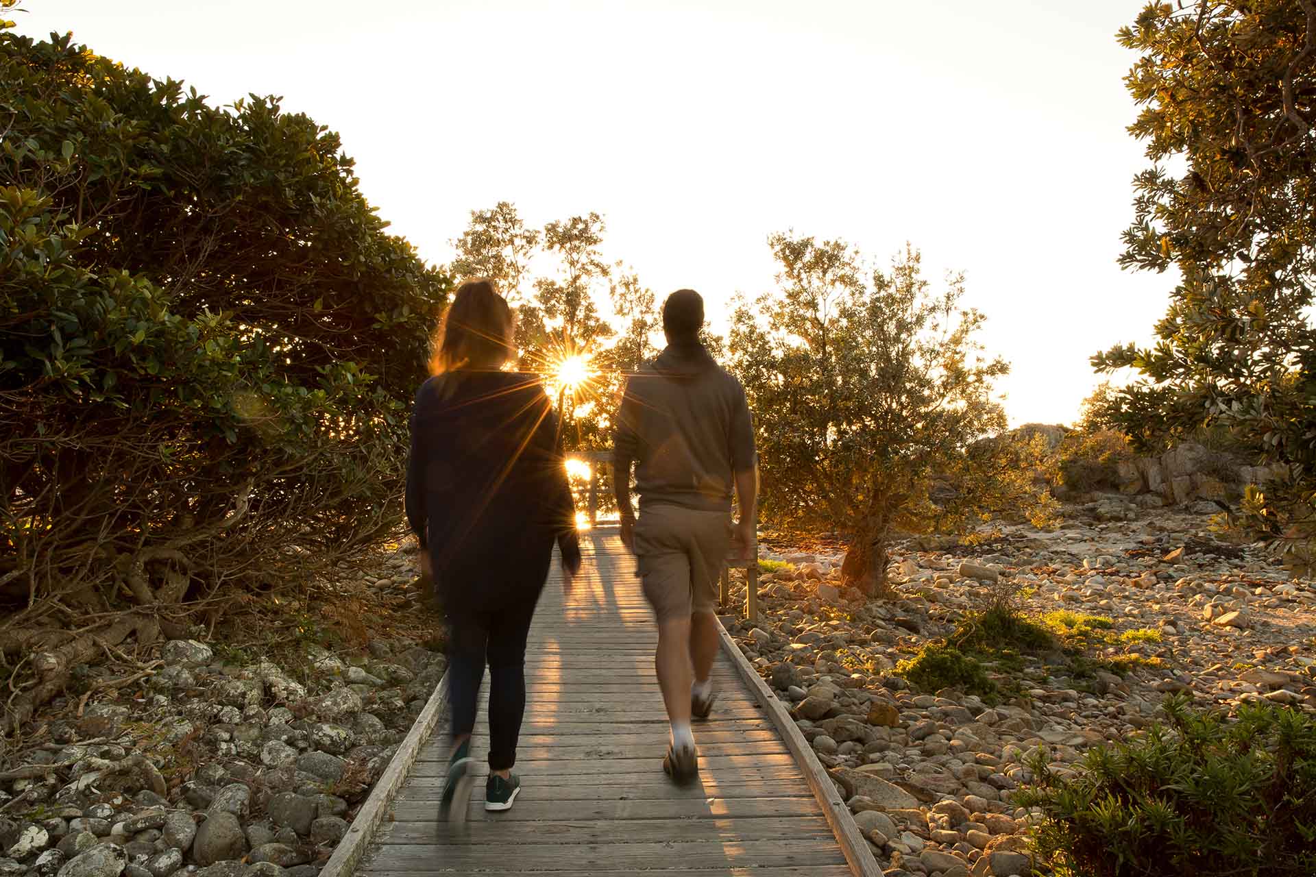 Mimosa Rocks Walking Track, Sapphire Coast NSW