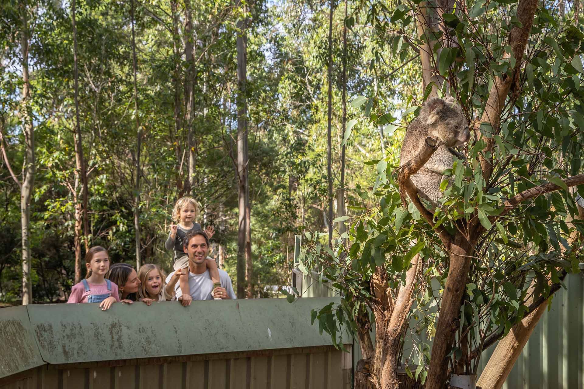 zoos and wildlife parks south coast nsw