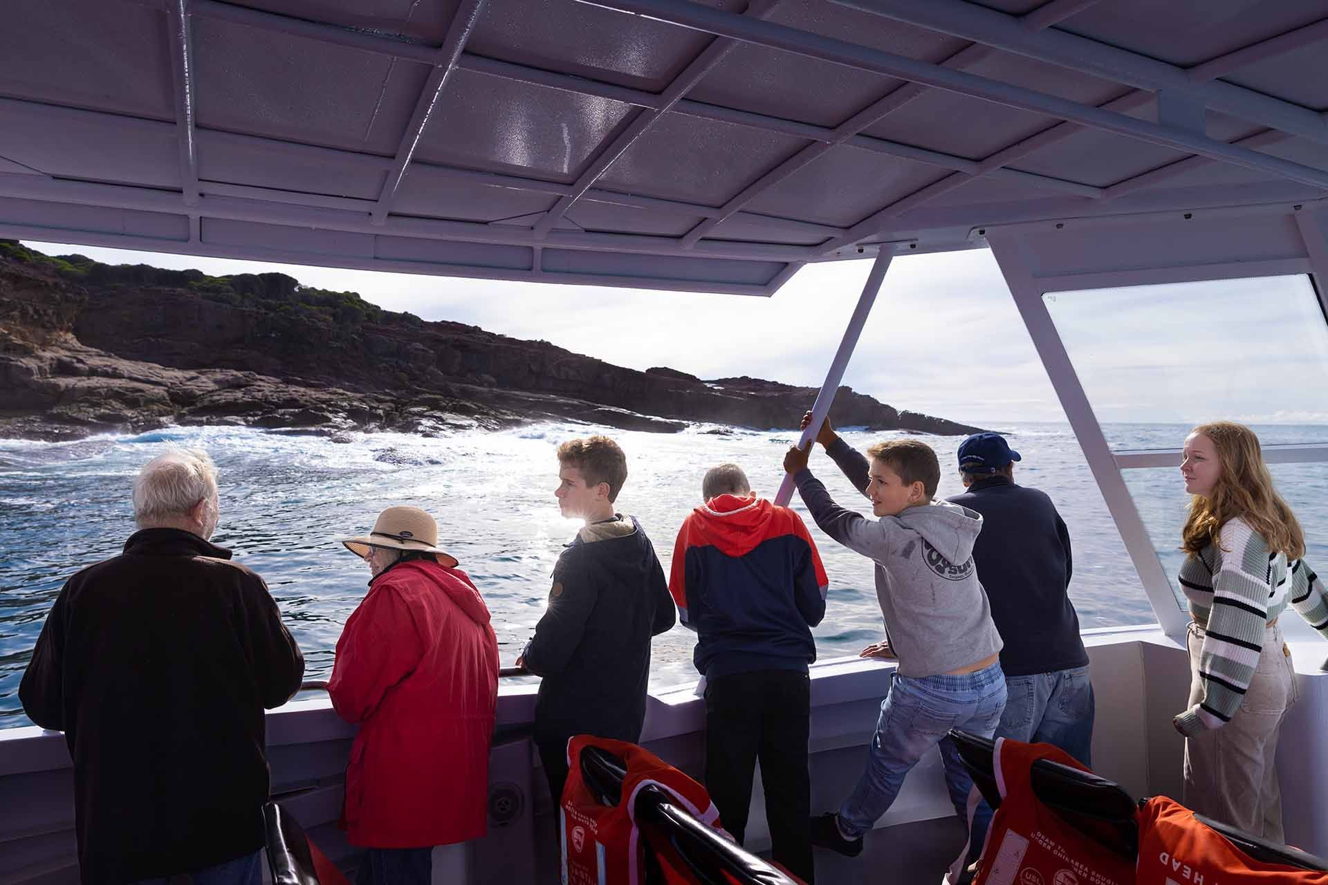 dolphin cruise merimbula and eden