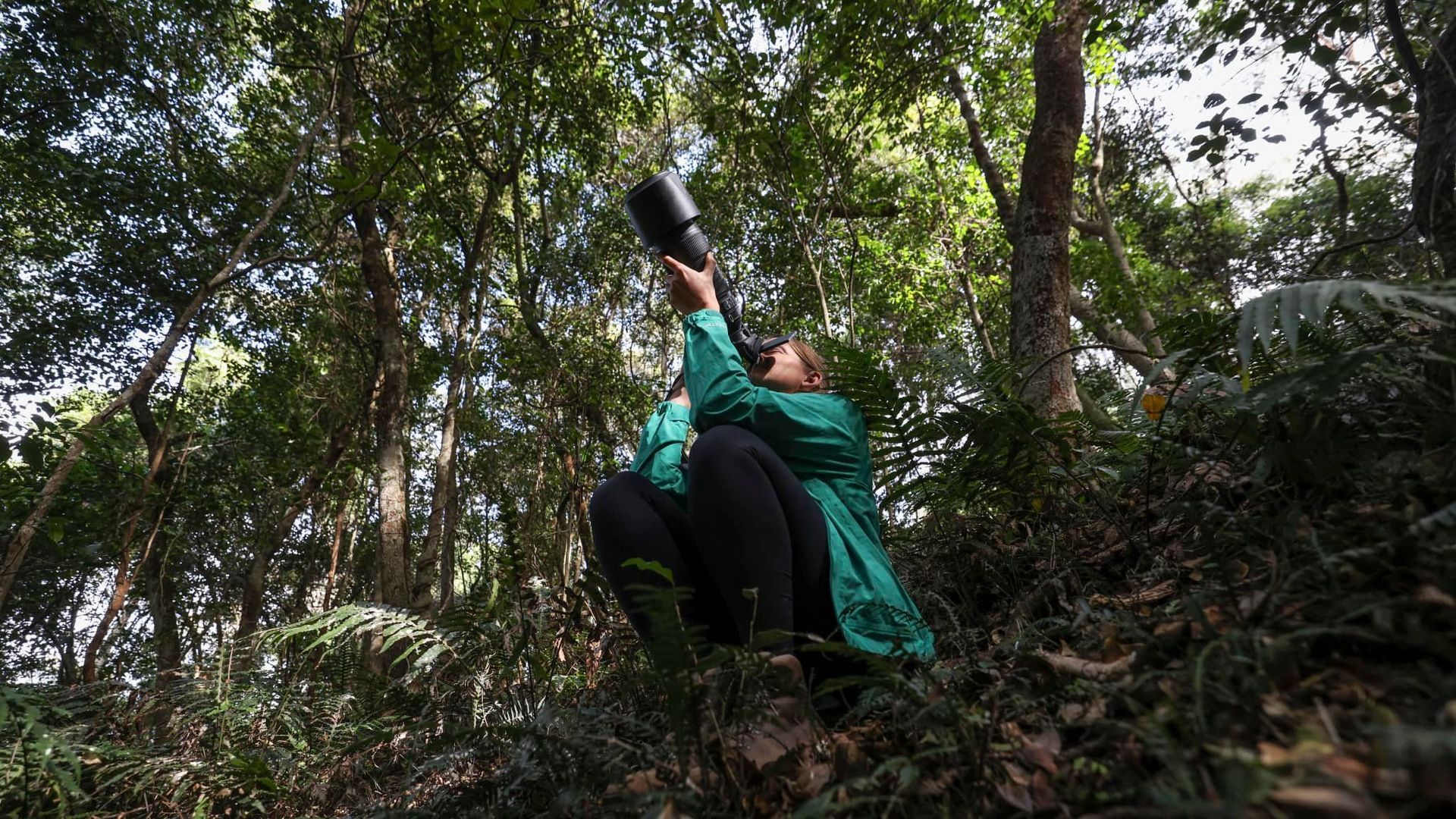 Birdwatching tours of the Sapphire Coast, Tiny Zoo