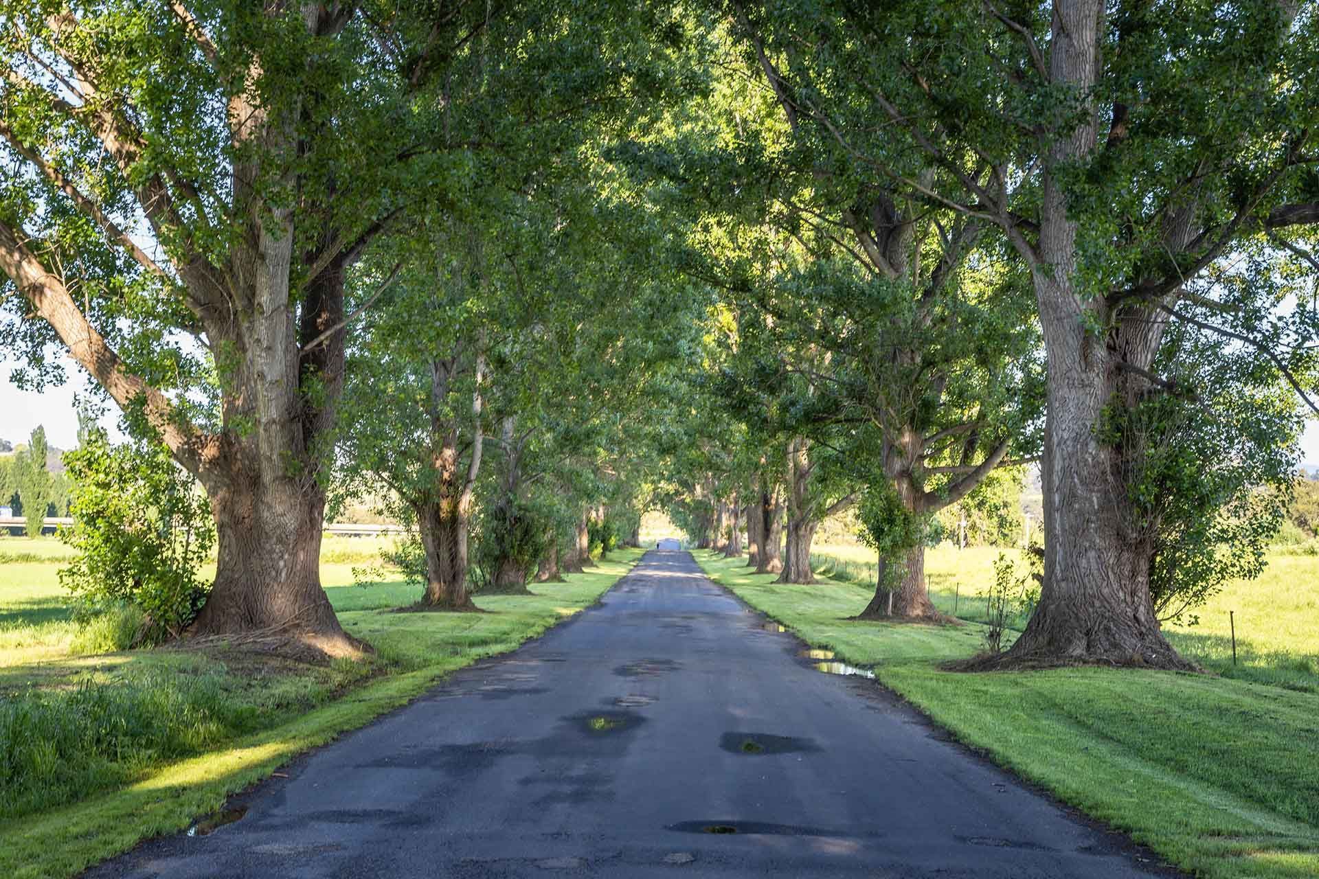 Bega country town, NSW