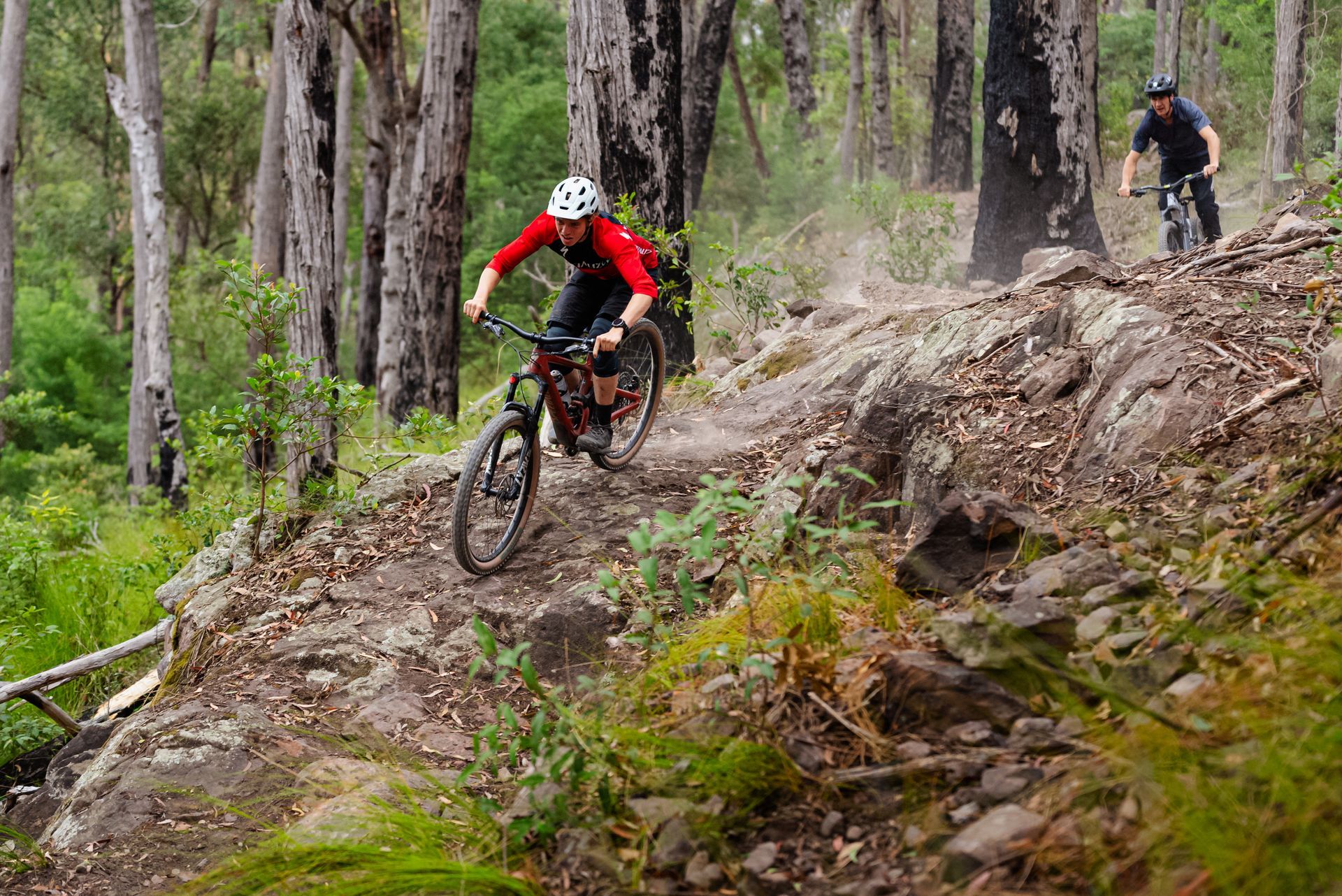 Mountain biker in red and black rides a rocky forest trail, with two riders in the background.