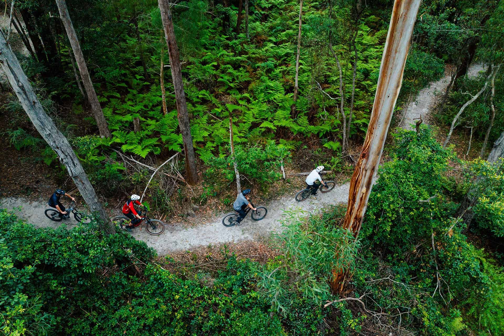 Gravity Eden MTB Park, Sapphire Coast NSW, mountain biking