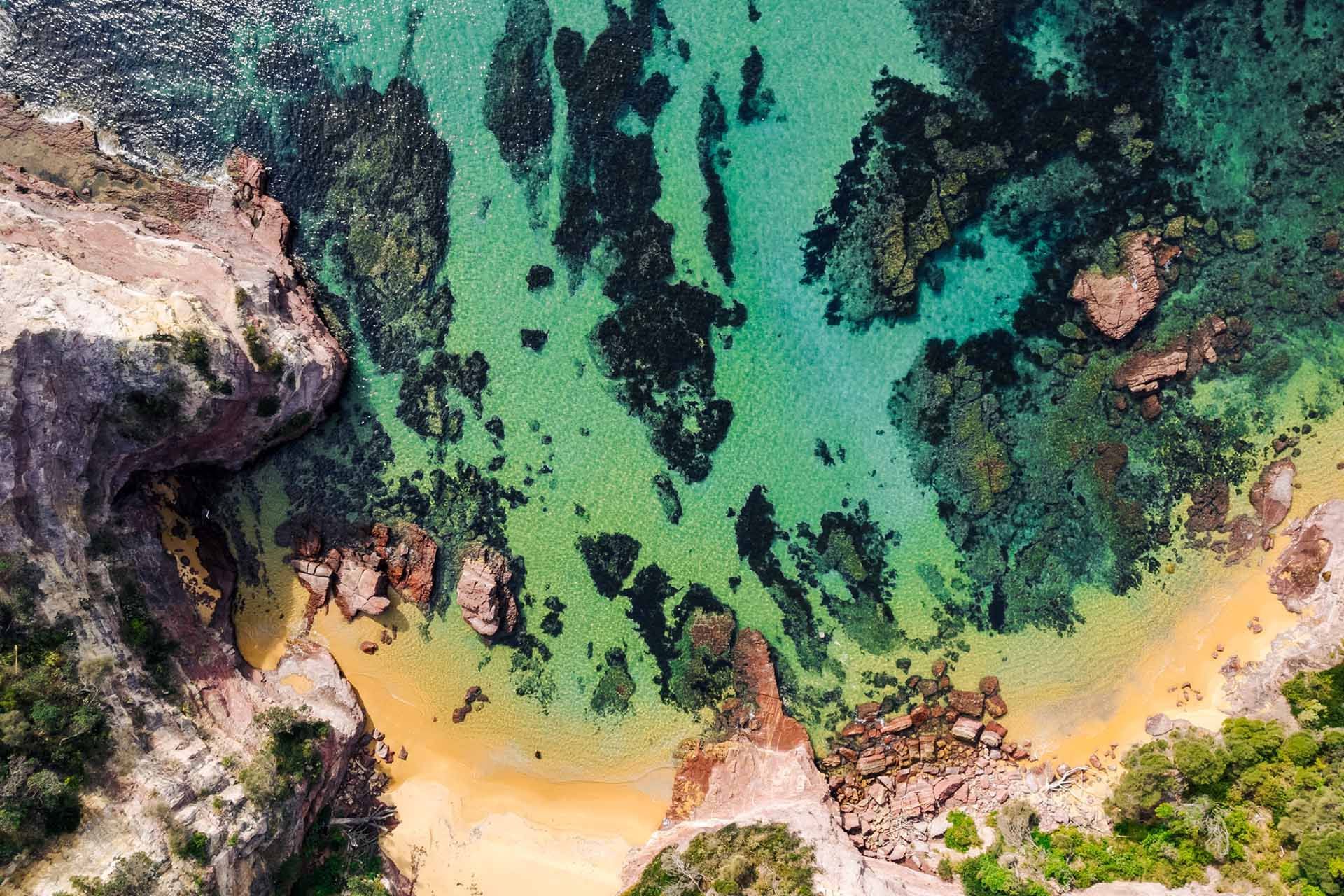 Marine and wildlife experiences on the Sapphire Coast, NSW