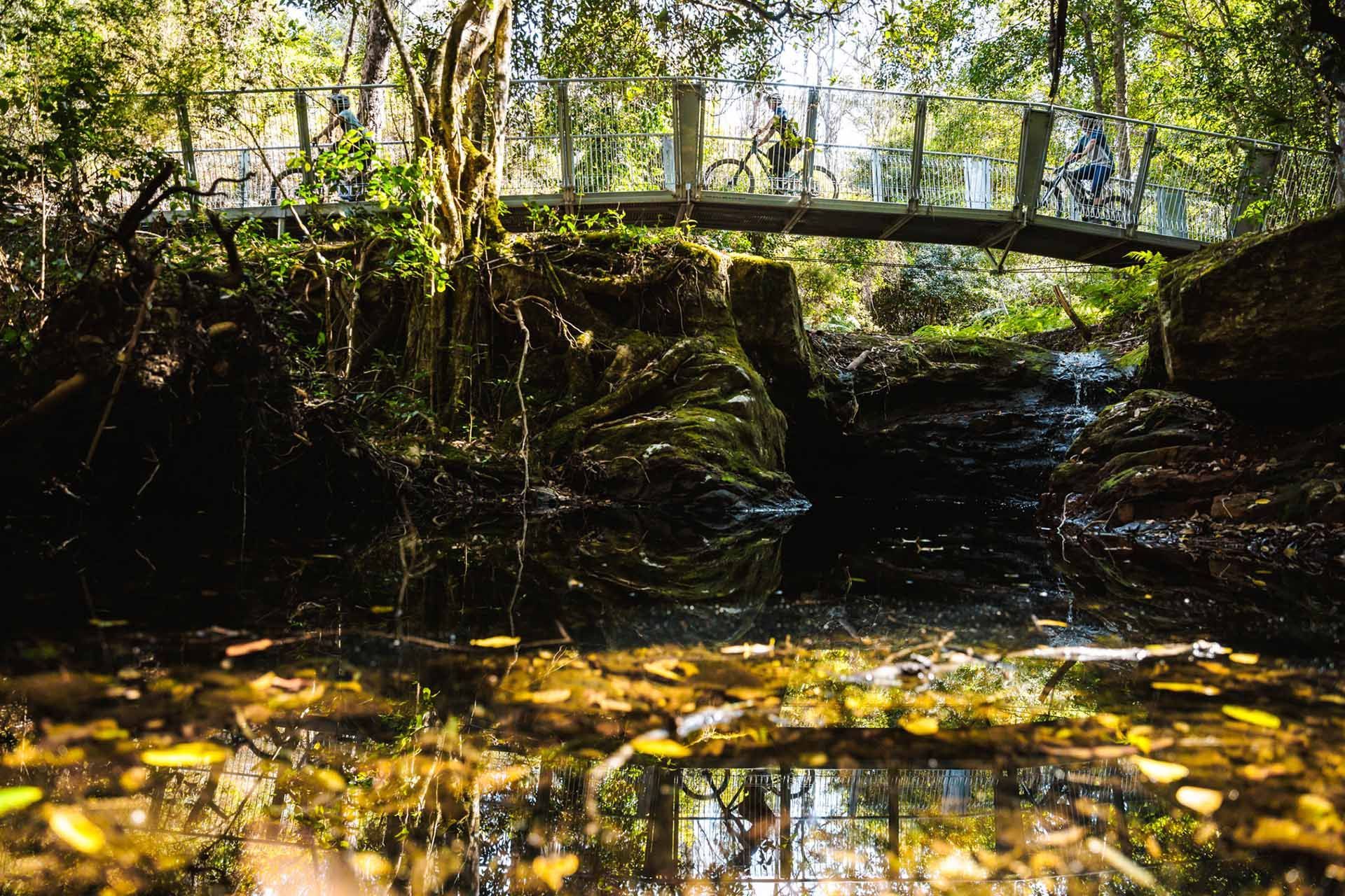 Mountain biking in tathra