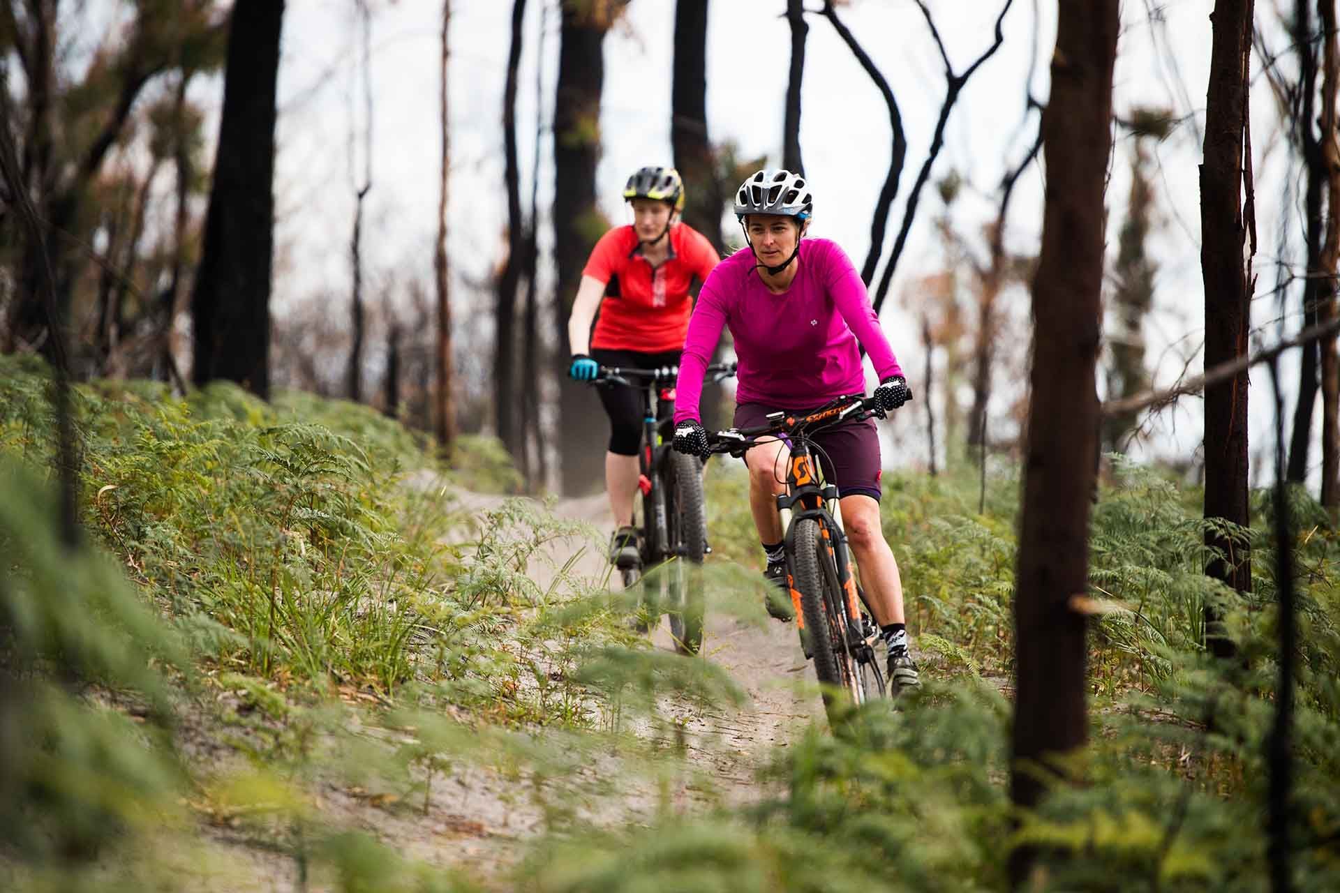 Tathra mountain bike trails, Sapphire Coast